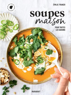 cover image of Soupes maison